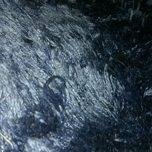 Meet your Posher, Ava